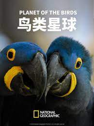 鸟类星球粤语