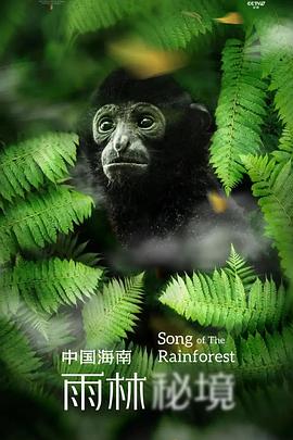 中国海南·雨林秘境